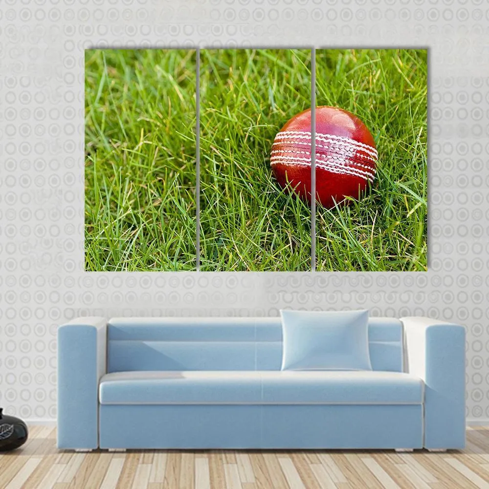 Cricket Ball Canvas Wall Art