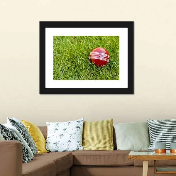 Cricket Ball Canvas Wall Art