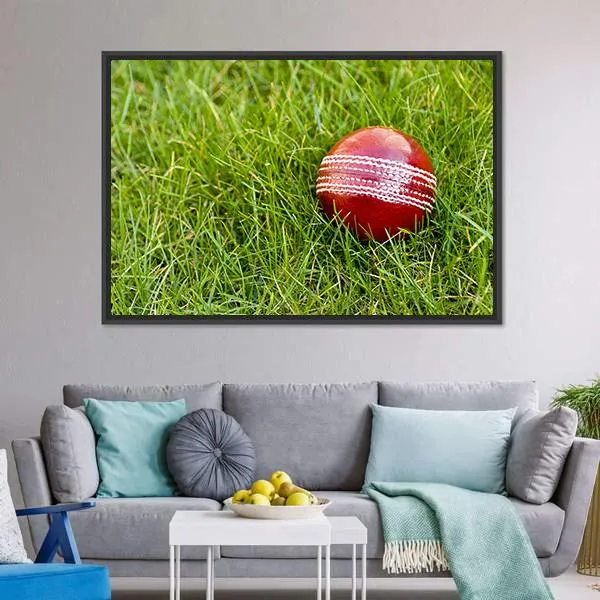 Cricket Ball Canvas Wall Art