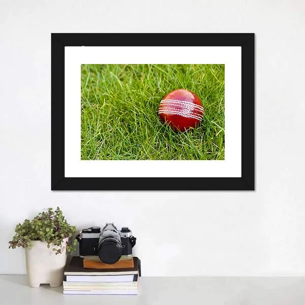 Cricket Ball Canvas Wall Art