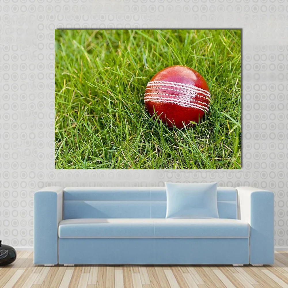Cricket Ball Canvas Wall Art